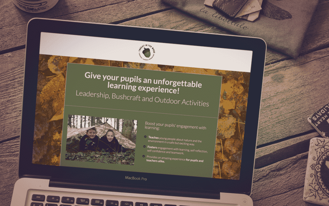 Landing Page Design – Taught in the Wood